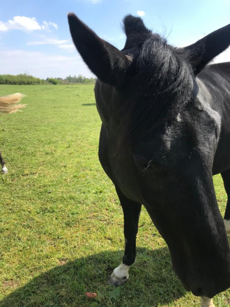 Photo de profil de dahab01