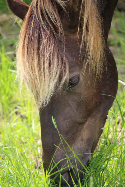 Photo de profil de daikiri2