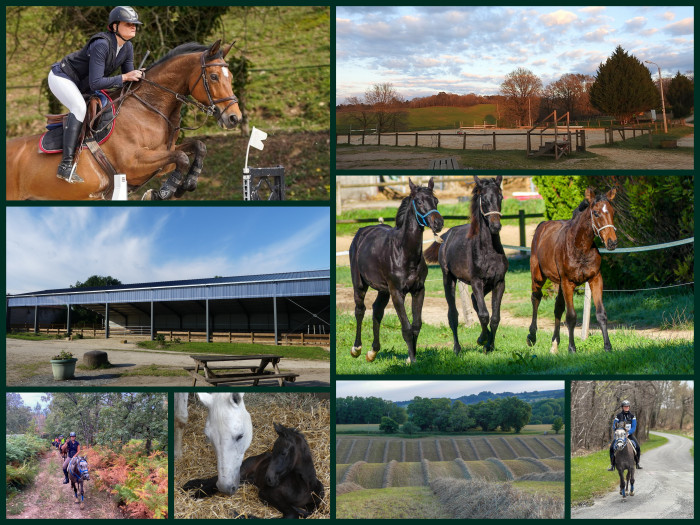 Photo de profil de dalemps