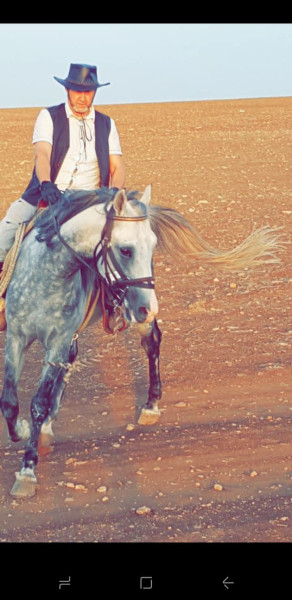 Photo de profil de dali31