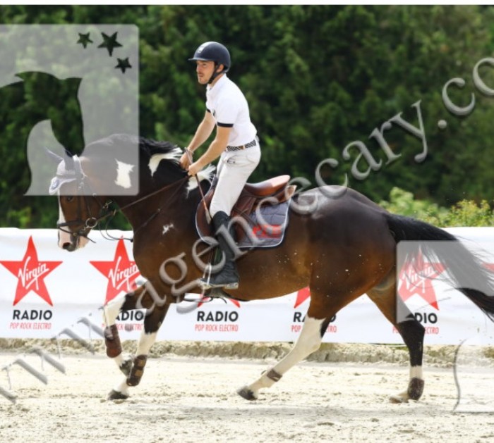 Photo de profil de damiend