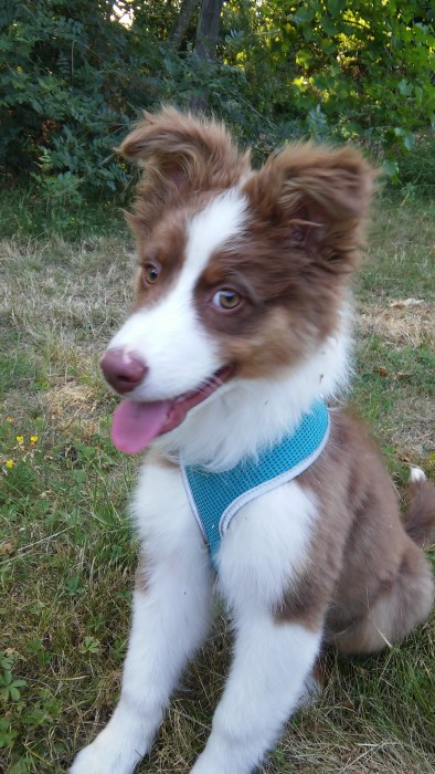 Photo de profil de dammomo