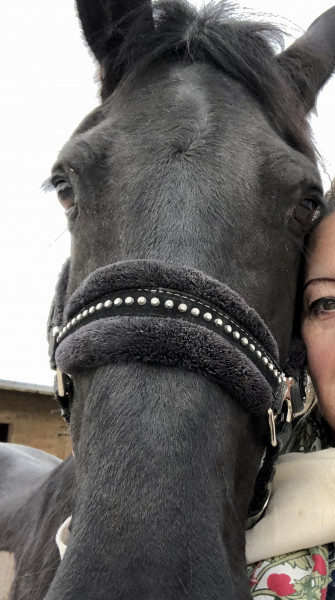 Photo de profil de dan452