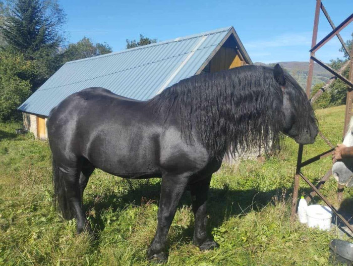 Photo de profil de daniel65