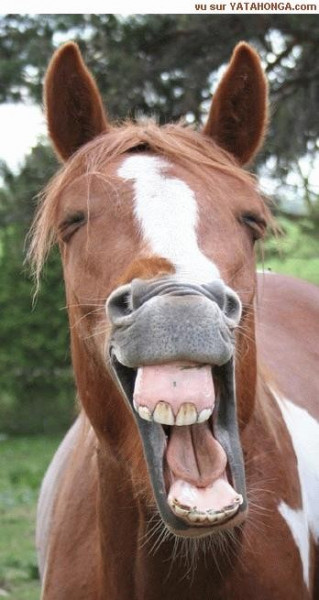 Photo de profil de danseurchipie