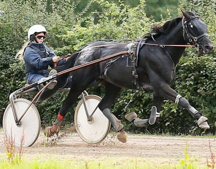 Photo de profil de daphne88