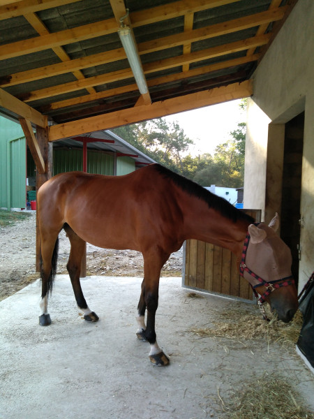 Photo de profil de darkblanc