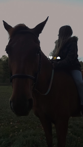 Photo de profil de ddaydetorvic661