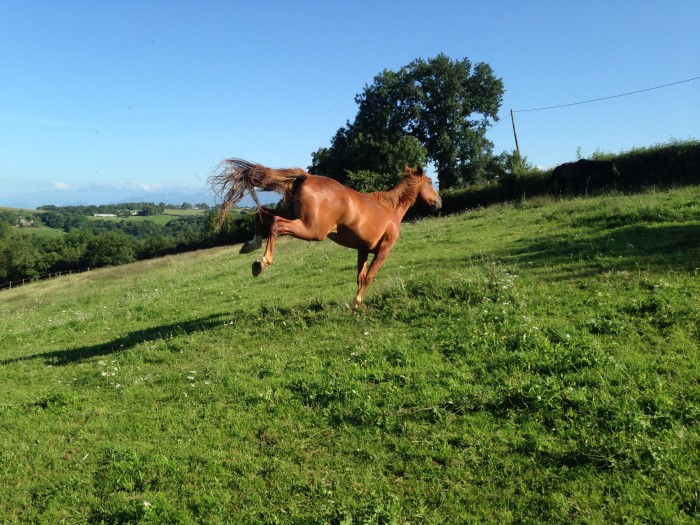 Photo de profil de ddrontignon