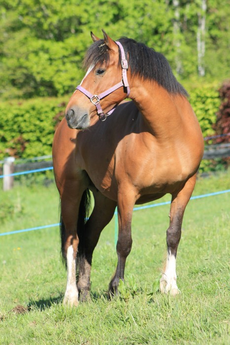 Photo de profil de debecker