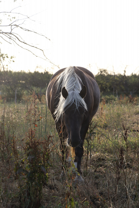 Photo de profil de debmarie