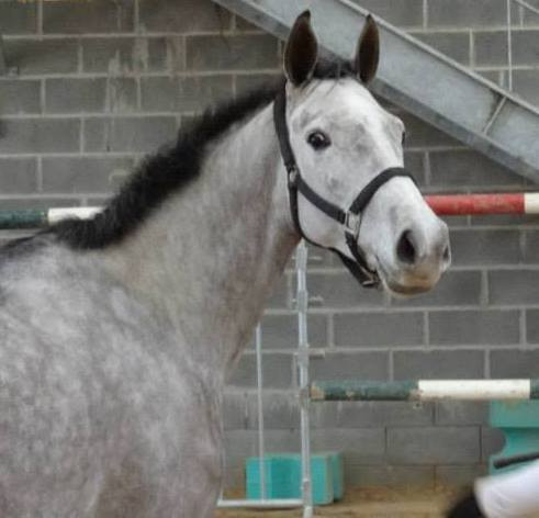 Photo de profil de deboismignon