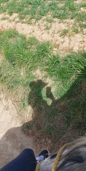 Photo de profil de debo.lrds