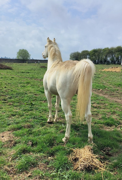 Photo de profil de deborahd