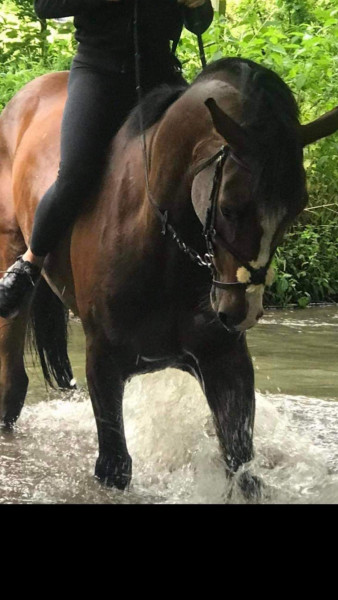 Photo de profil de dede47