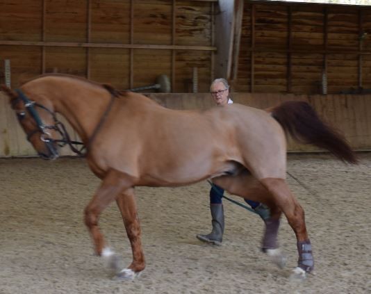 Photo de profil de deji