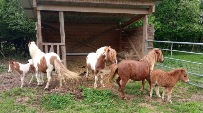 Photo de profil de delatille