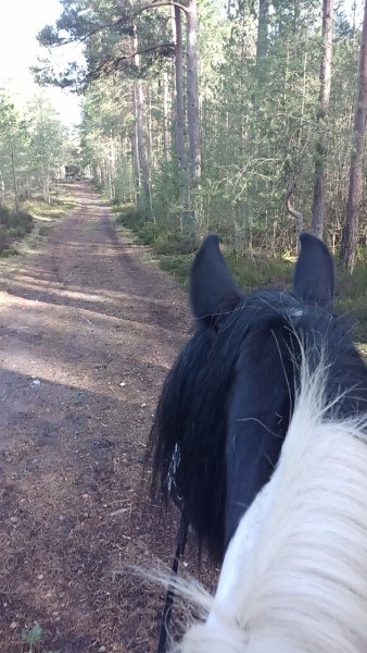 Photo de profil de delf0103