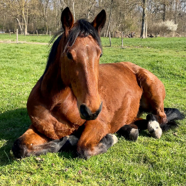 Photo de profil de delfe69