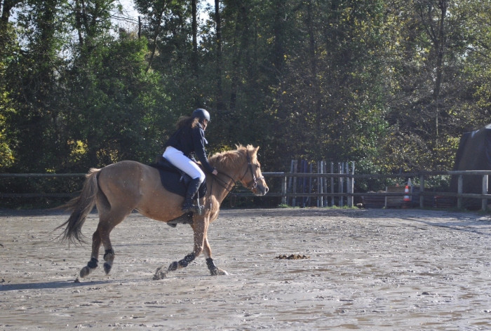 Photo de profil de delinda_db