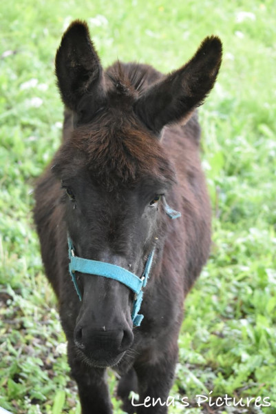 Photo de profil de delta_charm