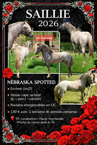 Photo de profil de denoemia