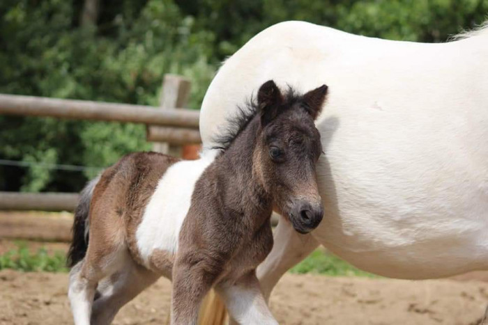 Photo de profil de dgrl.fanny