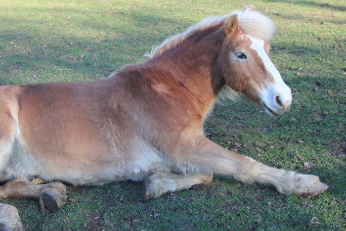 Photo de profil de dianegzn