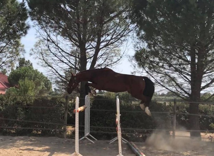 Photo de profil de diddlestar