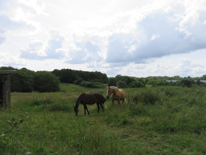 Photo de profil de didier55