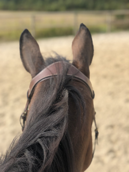 Photo de profil de didi_heureuse