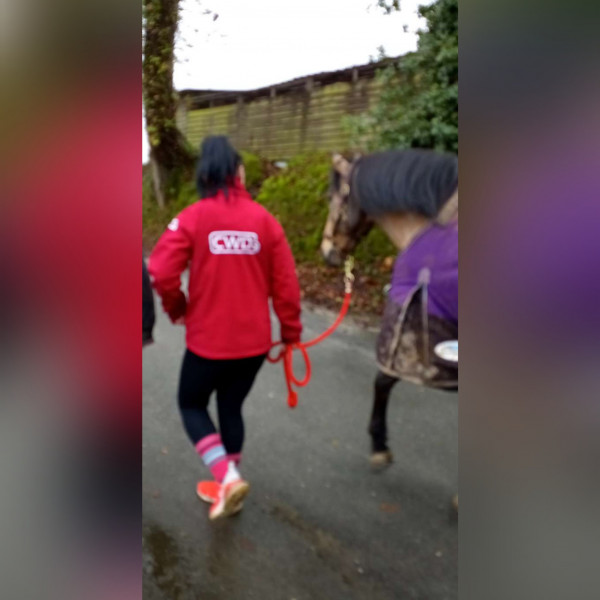 Photo de profil de didinechau35