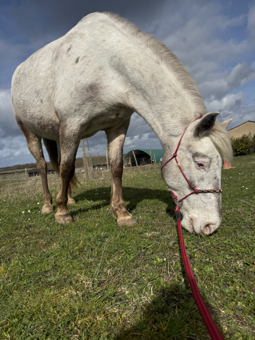 Photo de profil de didinettounette