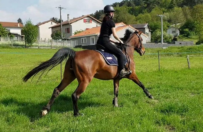 Photo de profil de diva_et_zoe