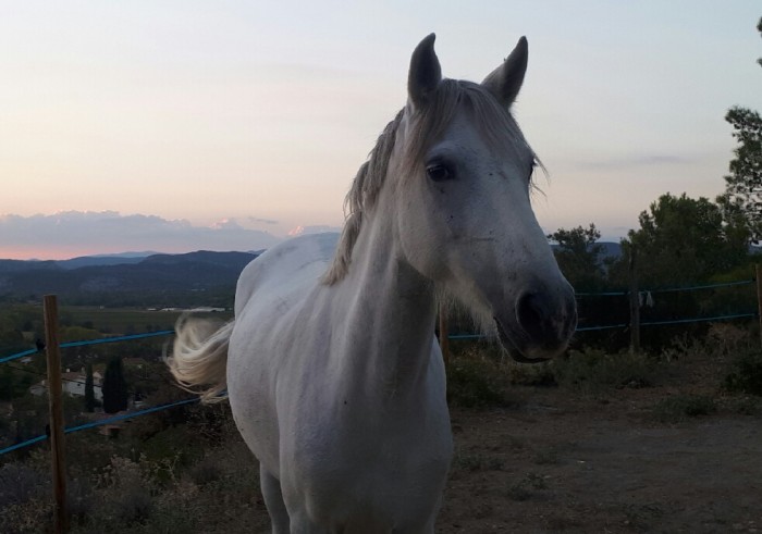 Photo de profil de divine2802