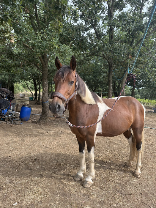 Photo de profil de django_66