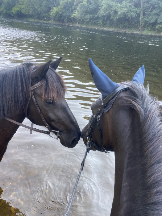 Photo de profil de dodoalfa46