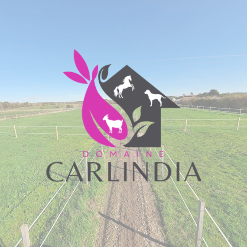 Photo de profil de domainecarlindi