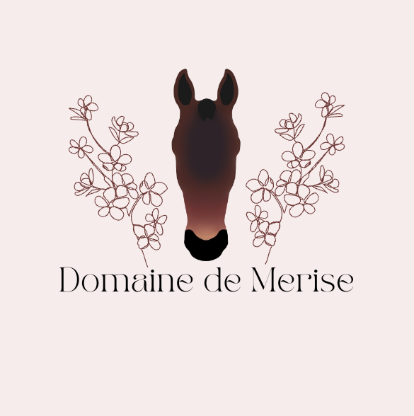 Photo de profil de domainedemerise