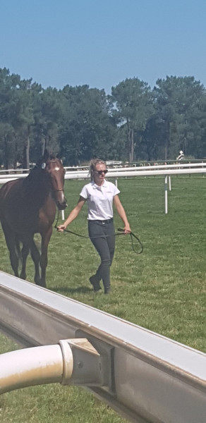 Photo de profil de domaineequestr3