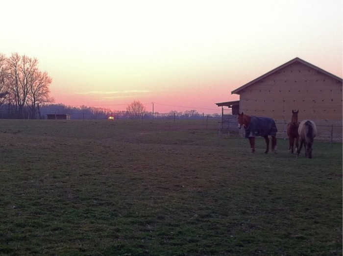 Photo de profil de domaineschnes