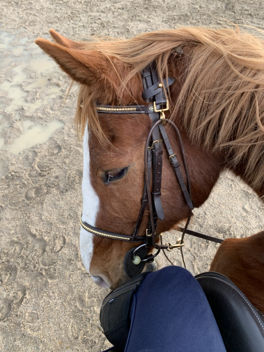 Photo de profil de doriane42