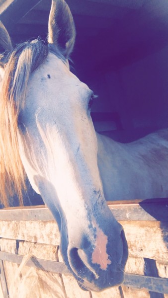 Photo de profil de doriise