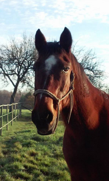 Photo de profil de doubiemavie
