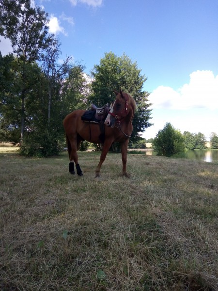 Photo de profil de doudoudu89