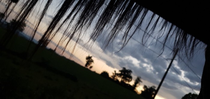 Photo de profil de dreamloup