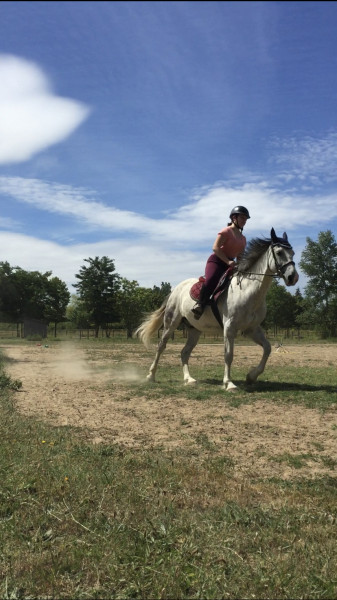 Photo de profil de dream_myna