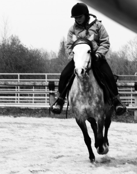 Photo de profil de drenasch