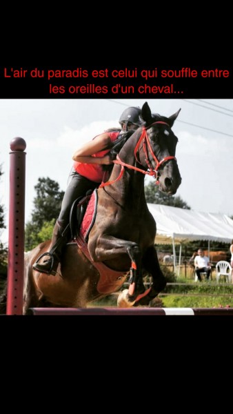 Photo de profil de dreoch