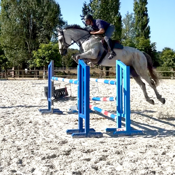 Photo de profil de driss47